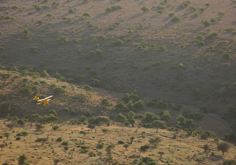 Waco Flying Safari Kenya