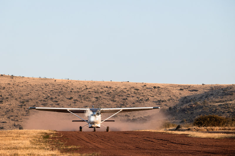 023-Air-Wilderness-Teagan-Cunniffe-06-25