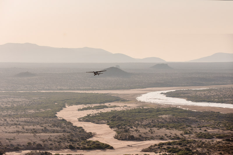 026-Air-Wilderness-Teagan-Cunniffe-06-25