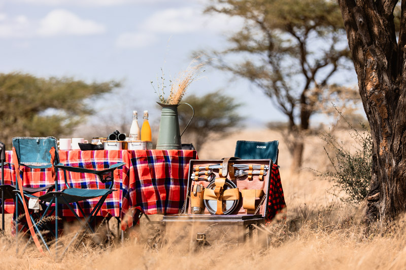 093-Air-Wilderness-Teagan-Cunniffe-06-25