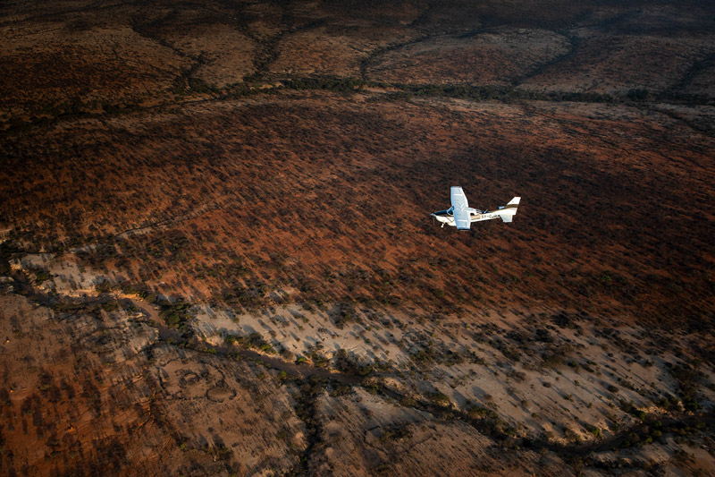 AirWilderness_Lewa_TeaganCunniffe_071