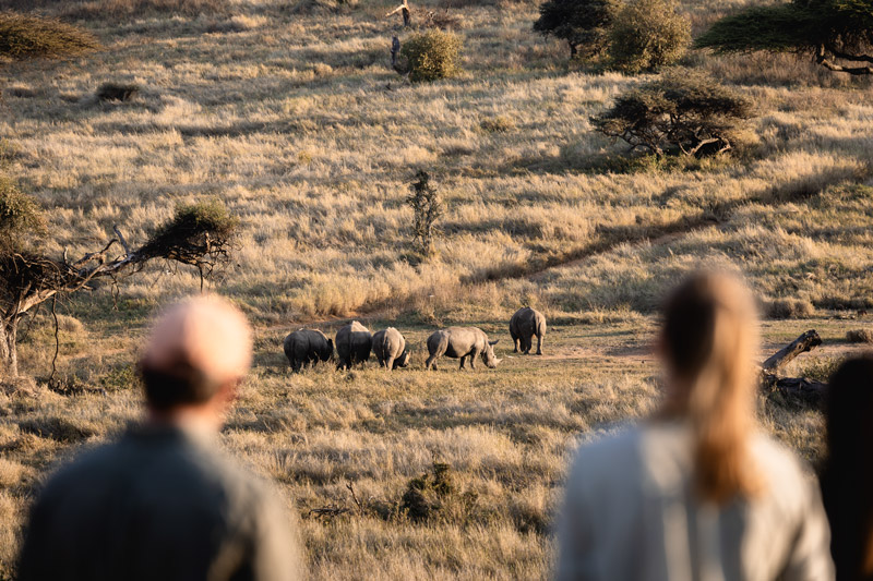 GameWalk_008_PrvtWilderness_TCunniffe_HR