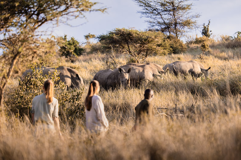 GameWalk_012_PrvtWilderness_TCunniffe_HR