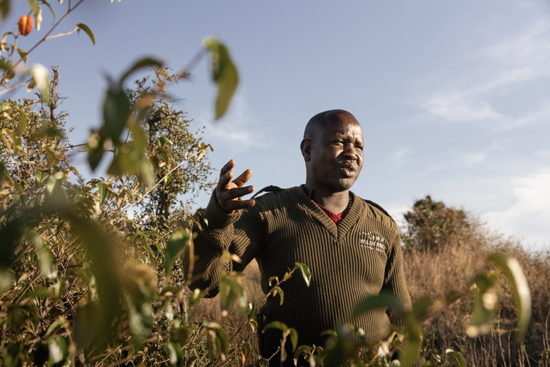 GameWalk_023_PrvtWilderness_TCunniffe_HR