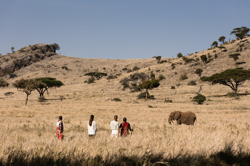 GameWalk_028_PrvtWilderness_TCunniffe_HR