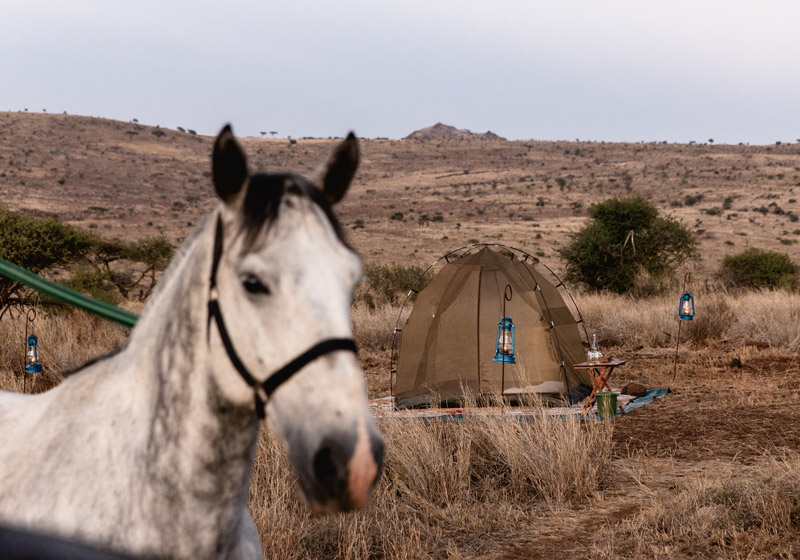 HorseRiding_027_PrvtWilderness_TCunniffe_HR