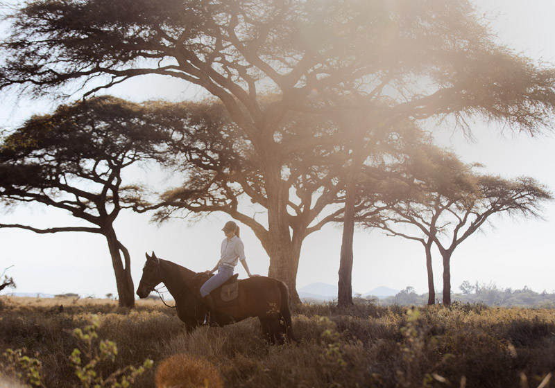 HorseRiding_029_PrvtWilderness_TCunniffe_HR