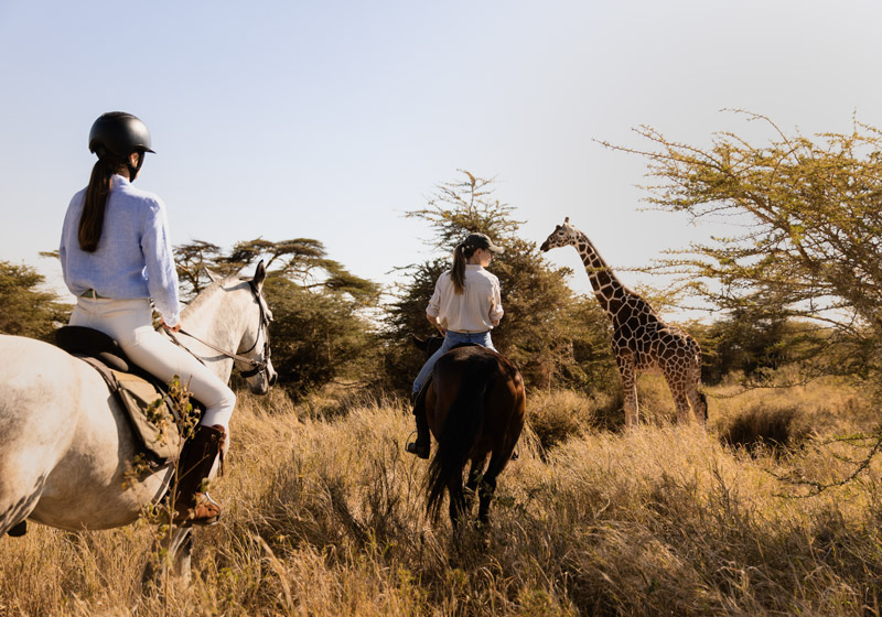 HorseRiding_046_PrvtWilderness_TCunniffe_HR